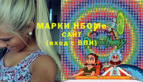 стафф Алексин