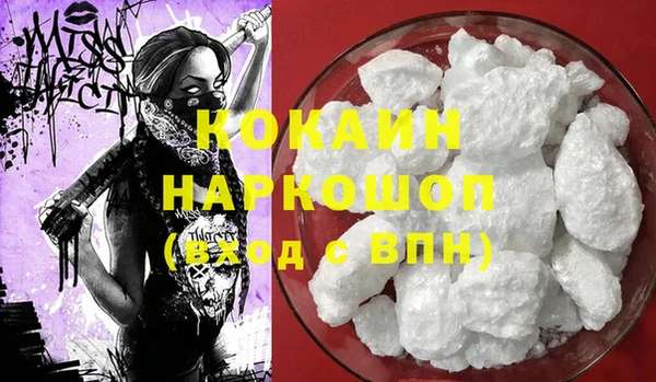 стафф Алексин