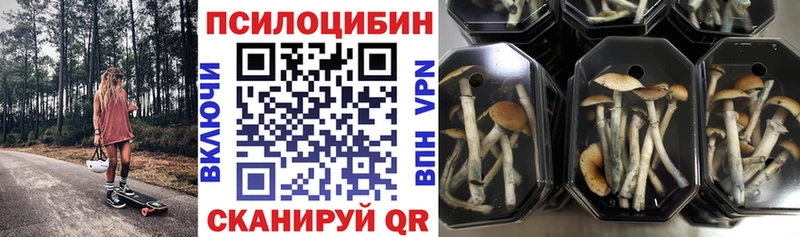 где купить   KRAKEN ССЫЛКА  Галлюциногенные грибы мицелий  Белая Калитва 